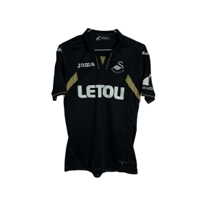 Фланелка на Суонзи